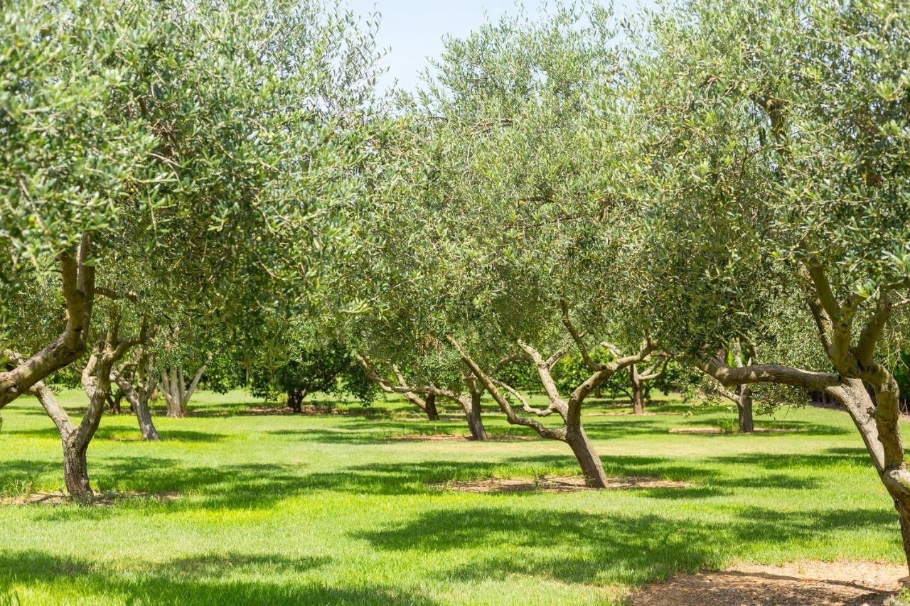 Villa Lagoon سا بوبلا المظهر الخارجي الصورة